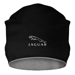 Jaguar logo