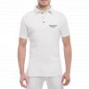 Aston Martin logo silver