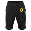 Ferrari Logo 3D