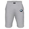 BMW logo