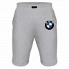 BMW retro logo