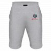 Alfa romeo logo